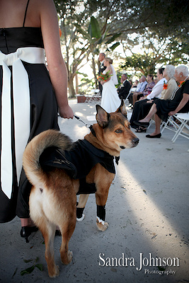 Best Winter Park Civic Center Wedding photographer - Sandra Johnson (SJFoto.com)